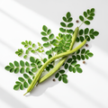 Fresh moringa leaves and pods on white background